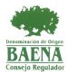 Spanish olive oil Baena